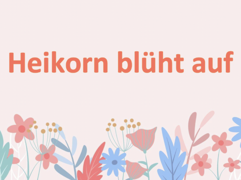 Heikorn blüht auf